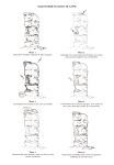 Elise GARCIA - RELEV Architecture and Heritage